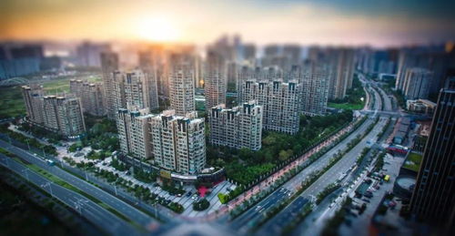 金华市区房地产调控新政出台 楼市迎来重大调整